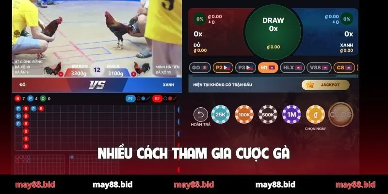 Nhiều cách tham gia cược gà